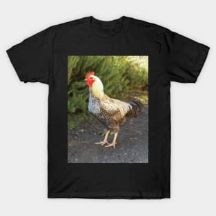 Rooster T-Shirt